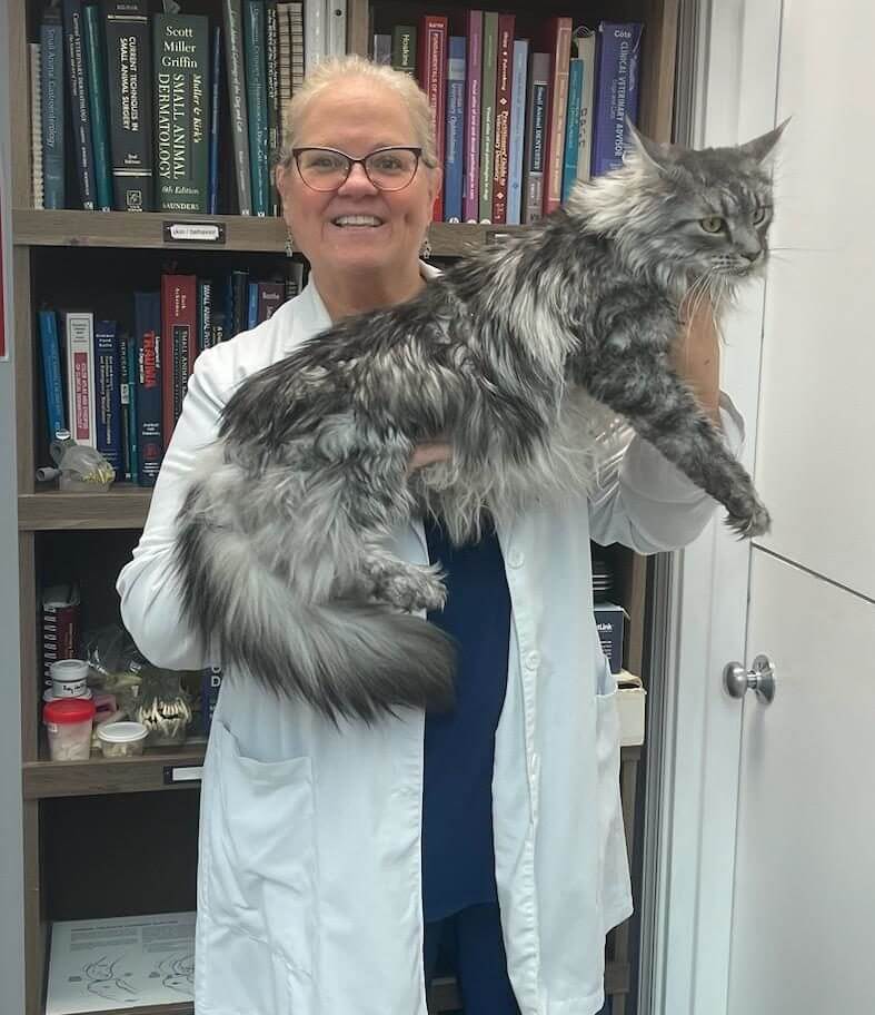 Dr. Page