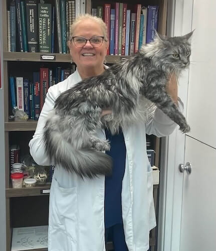Dr. Page