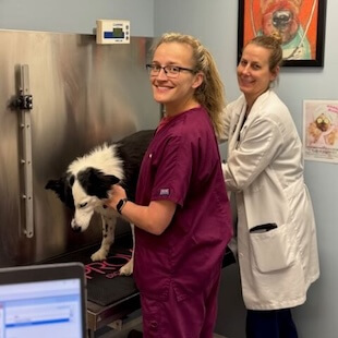 Pet Preventative Care in Ijamsville