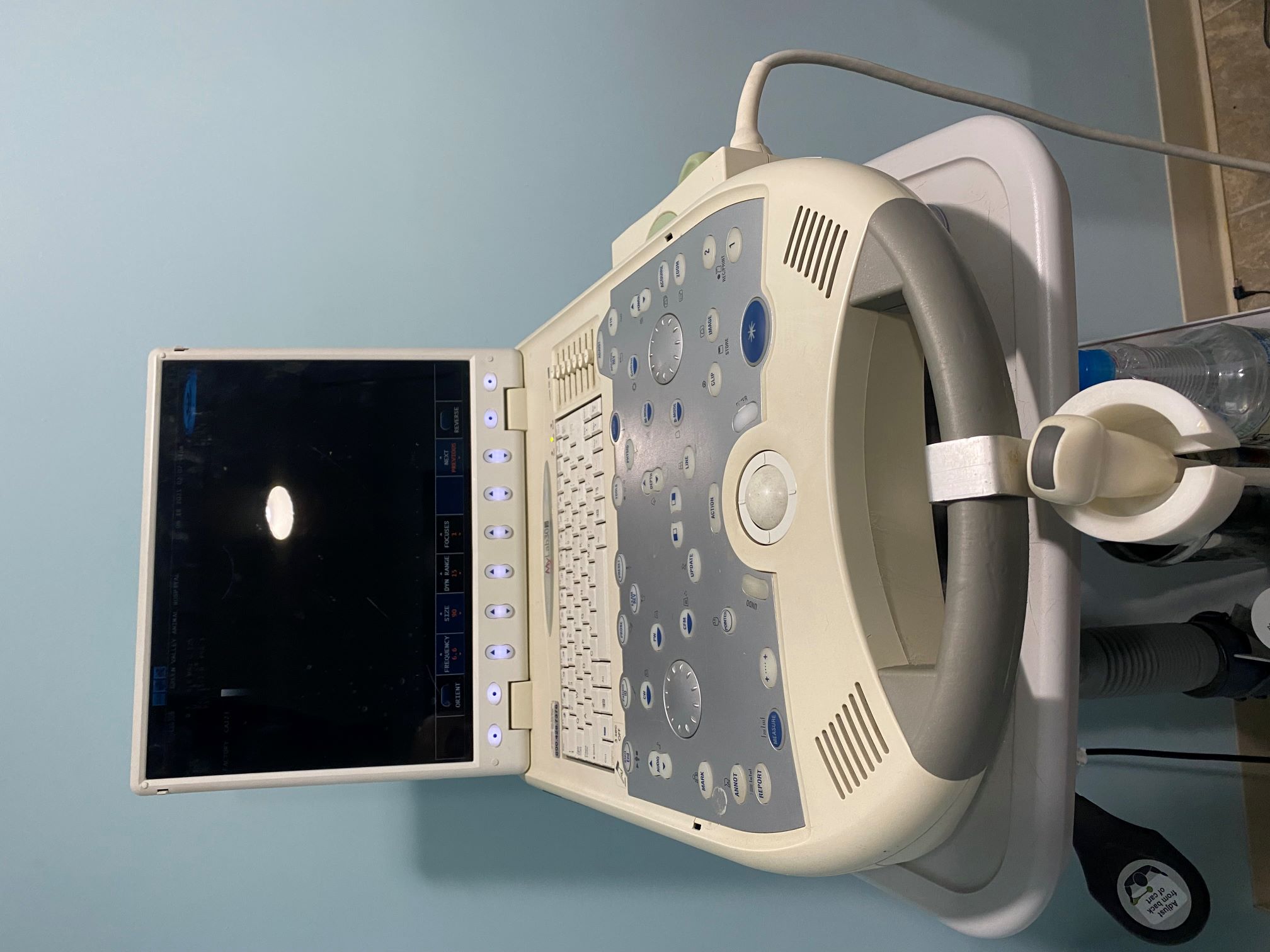 Pet Ultrasound in Ijamsville, MD 