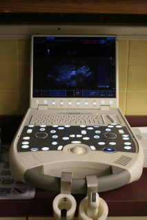 Pet Ultrasound in Ijamsville, MD 