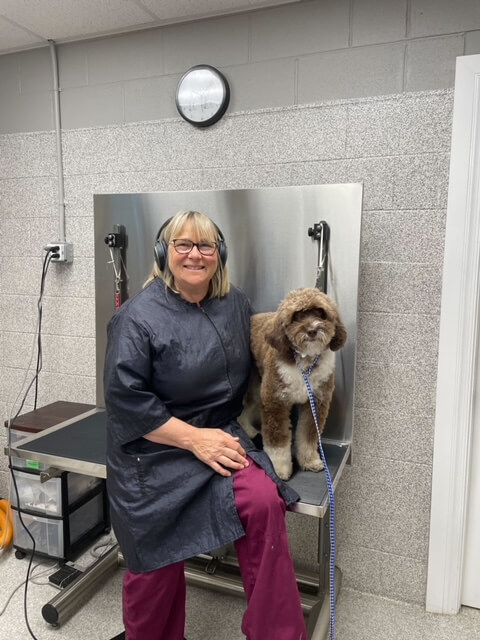 Pet Grooming in Ijamsville, MD 