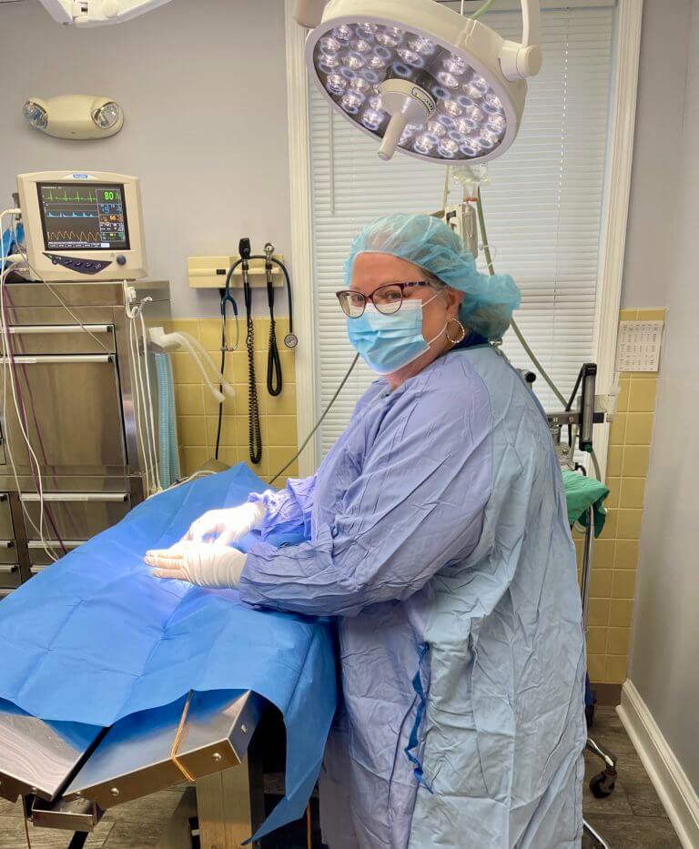 Pet Soft Tissue Surgery in Ijamsville, MD
