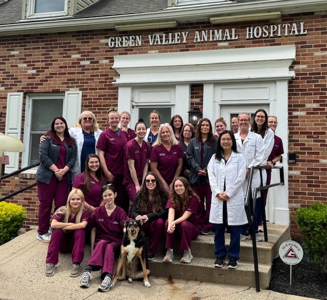 Veterinary Clinic in Ijamsville