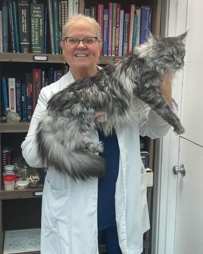 Dr. Laura Page Warden