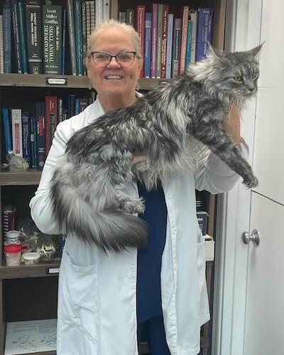 Dr. Laura Page Warden